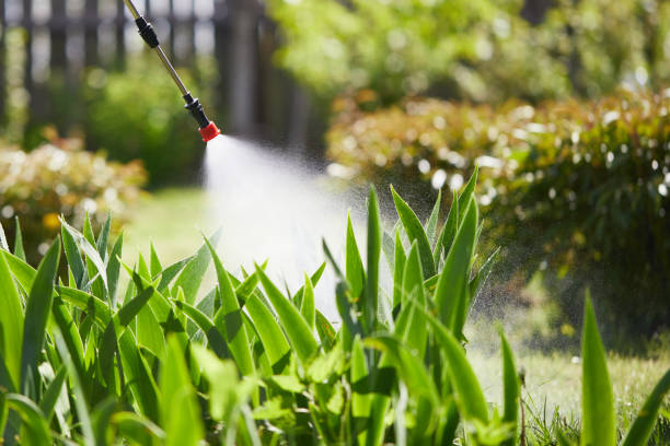 24/7 Emergency Fumigation Services experts in Armada, MI